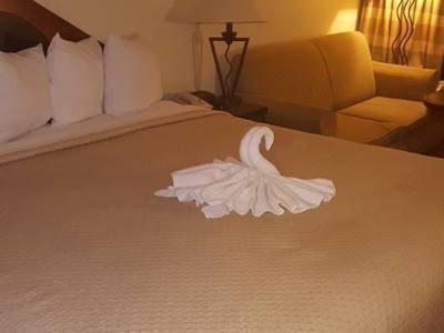 Oyo East I 40 Hotel Greensboro
